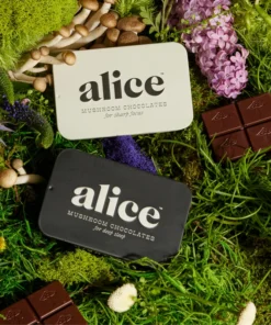 Alice Everyday Duo Brainstorm and Nightcap Functional Mushroom Chocolates