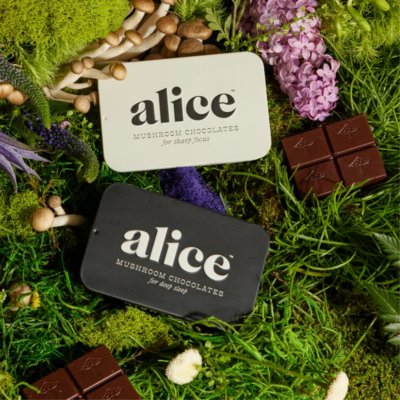 Alice Everyday Duo Brainstorm and Nightcap Functional Mushroom Chocolates