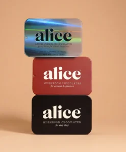 Alice Mushroom Big Night Bundle Chocolate