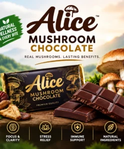 Alice mushroom chocolate​