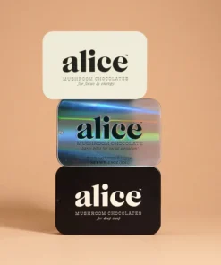 Alice Mushroom Work Hard Play Hard Bundle Chocolate