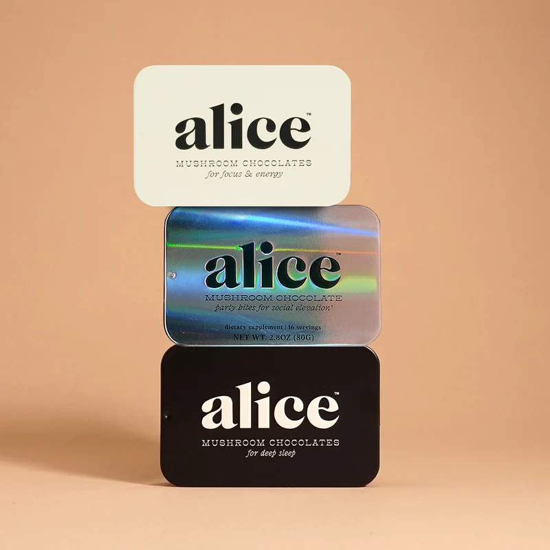 Alice Mushroom Work Hard Play Hard Bundle Chocolate