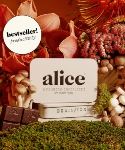 Alice mushrooms brainstorm + journal chocolate