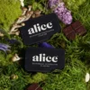 Alice mushrooms nightcap x open chocolate