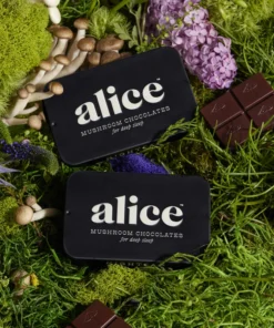 Alice mushrooms nightcap x open chocolate