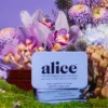 Alice mushrooms zen-x functional mushroom subscription kit chocolate