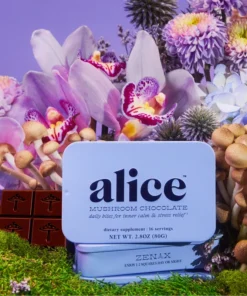 Alice mushrooms zen-x functional mushroom subscription kit chocolate