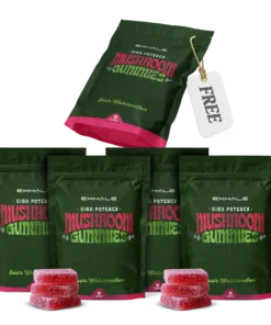 Exhale High Potency Mushroom Gummies