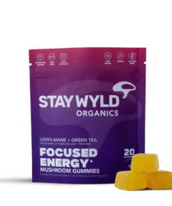 stay wyld Focused Energy Gummies 20 pack